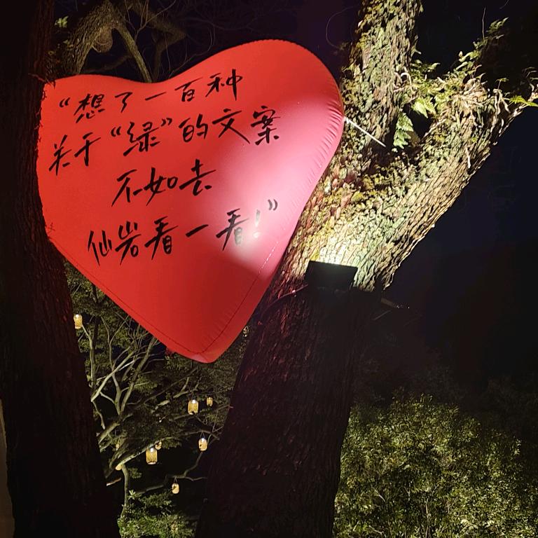 承诺是谎
