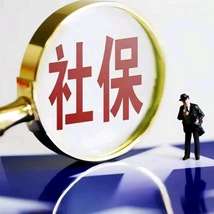 社保在线-晴老师