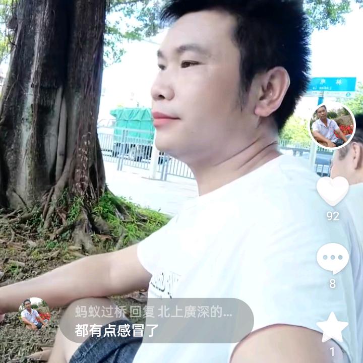 蚂蚁过桥