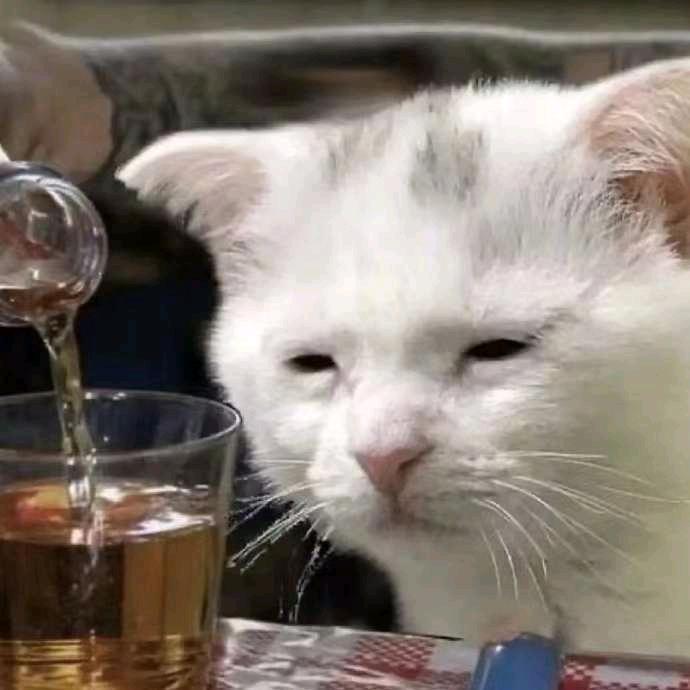 宝↗生↘永↗梦↘