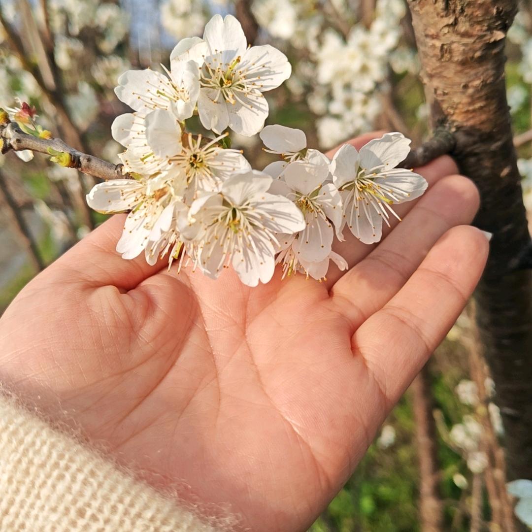 💦💦田田💦💦