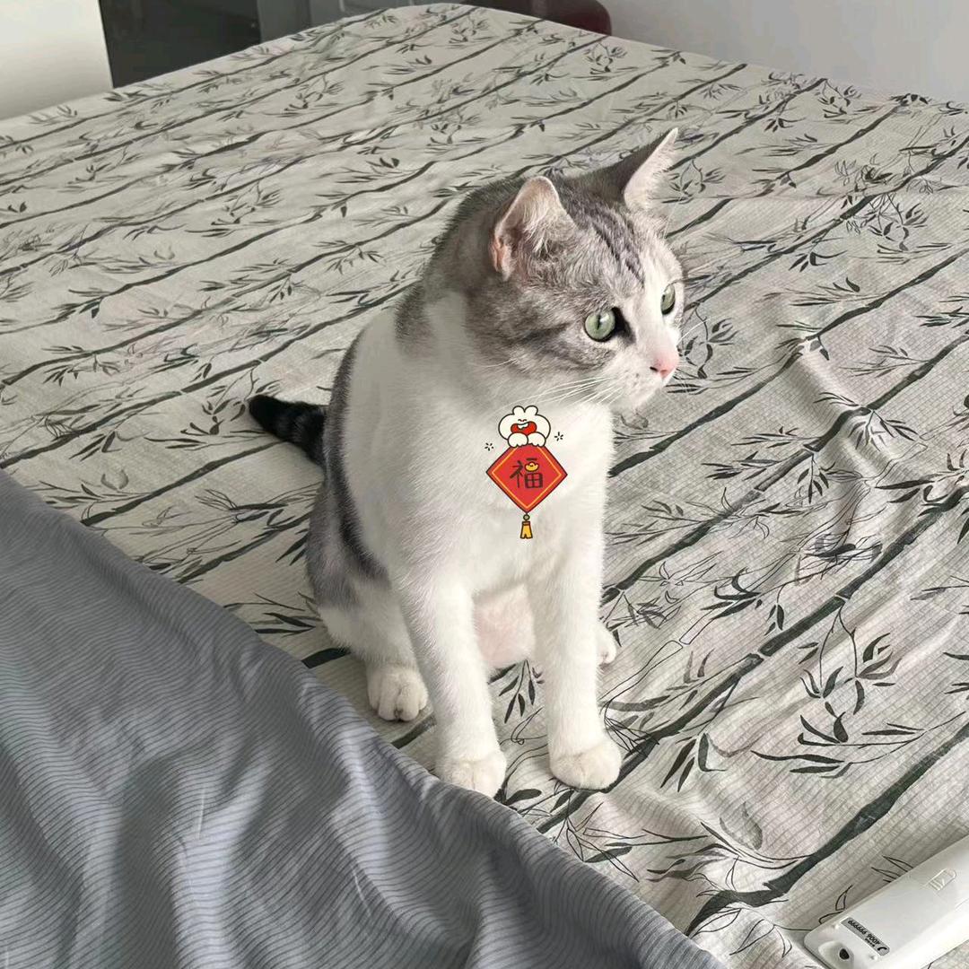 落叶知秋