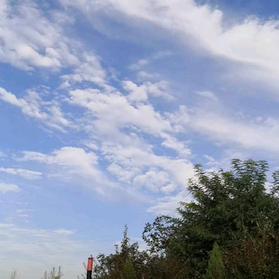 振 高 商 贸