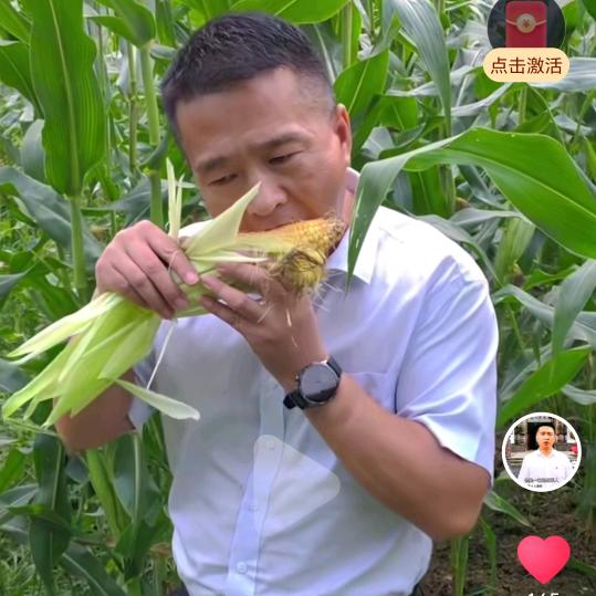 驻村肖书记（经常晚上直播）