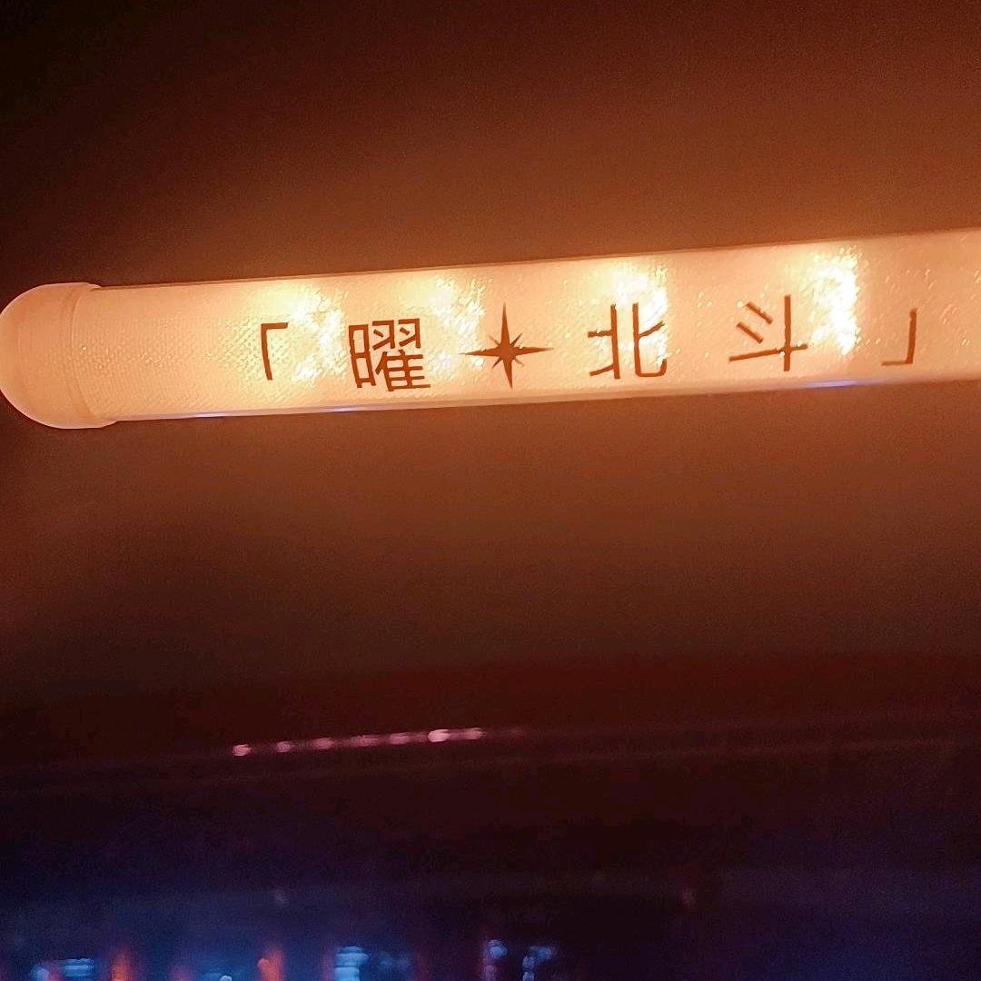 悲伤的大象在摇花手