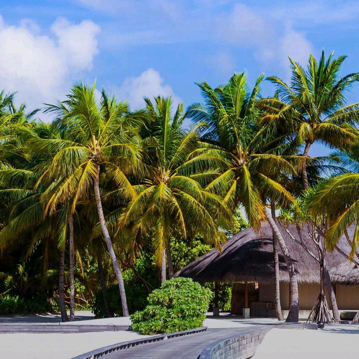 红姐（首播不定时开播）