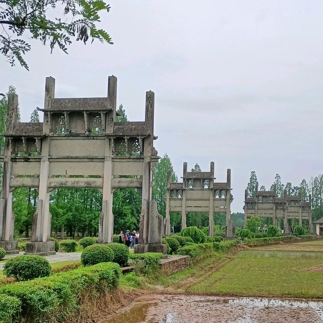 昔日暖阳