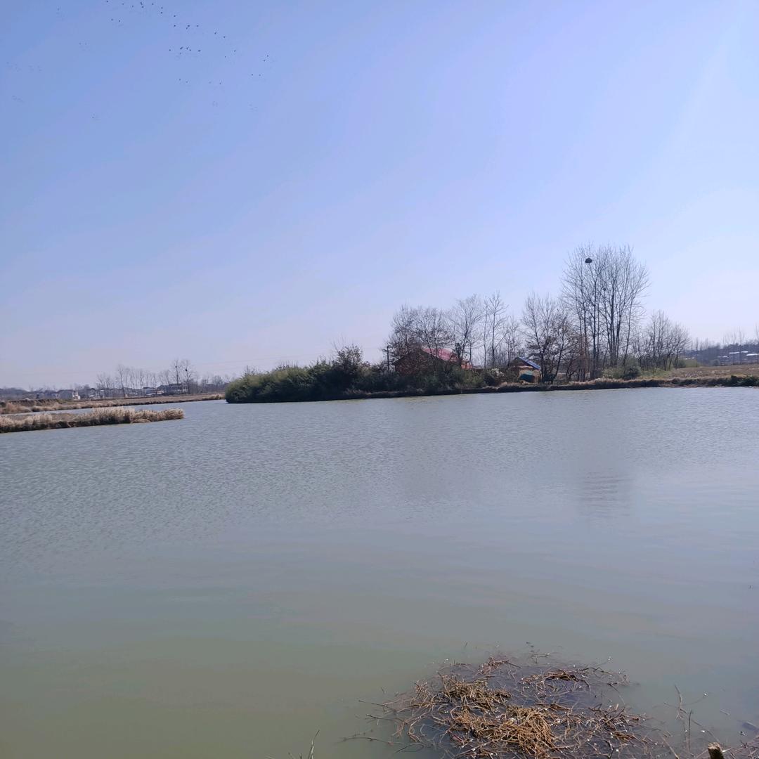 爱未央黯然神伤、