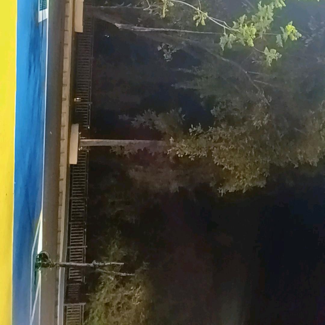 昼
