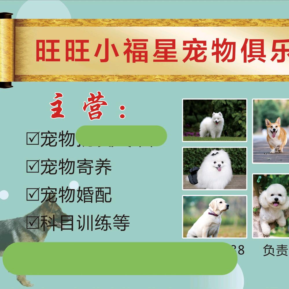福星宠物乐园（代训 寄养）