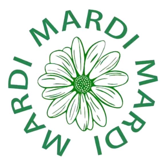 MARDI星耀女鞋专卖店