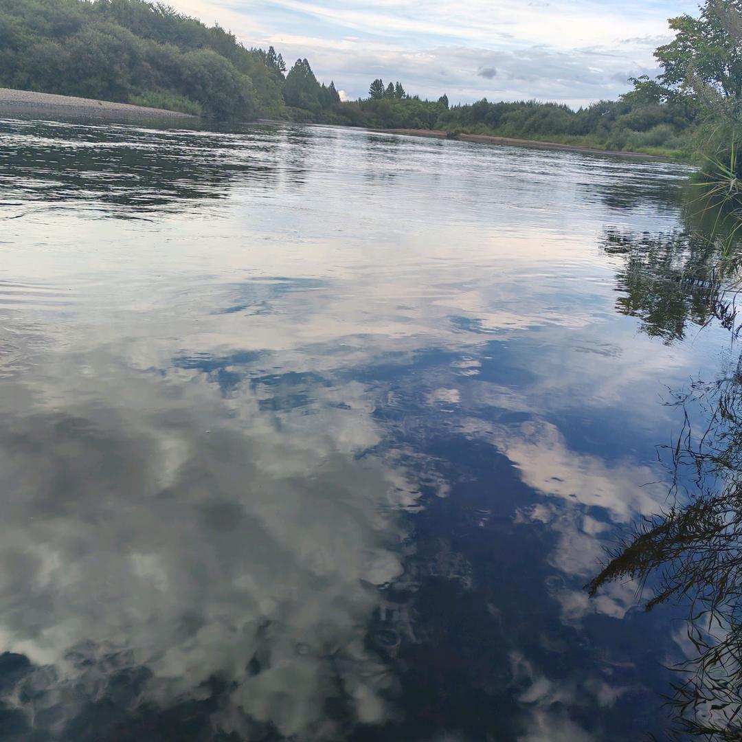 为中国加油家有三宝