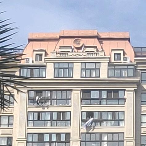 开心一夏（勇粉）