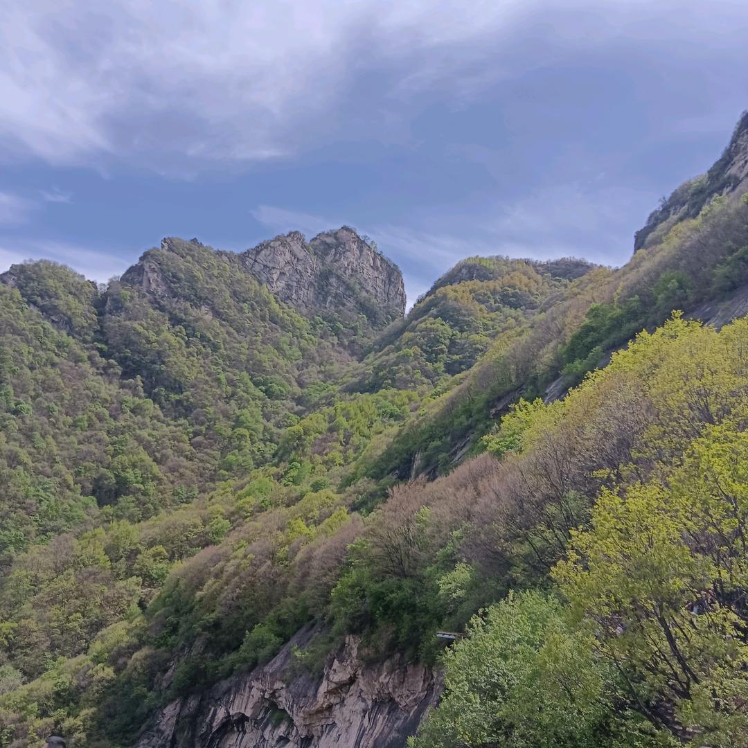 飞哥2856
