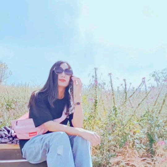 🌈🌴与世无争