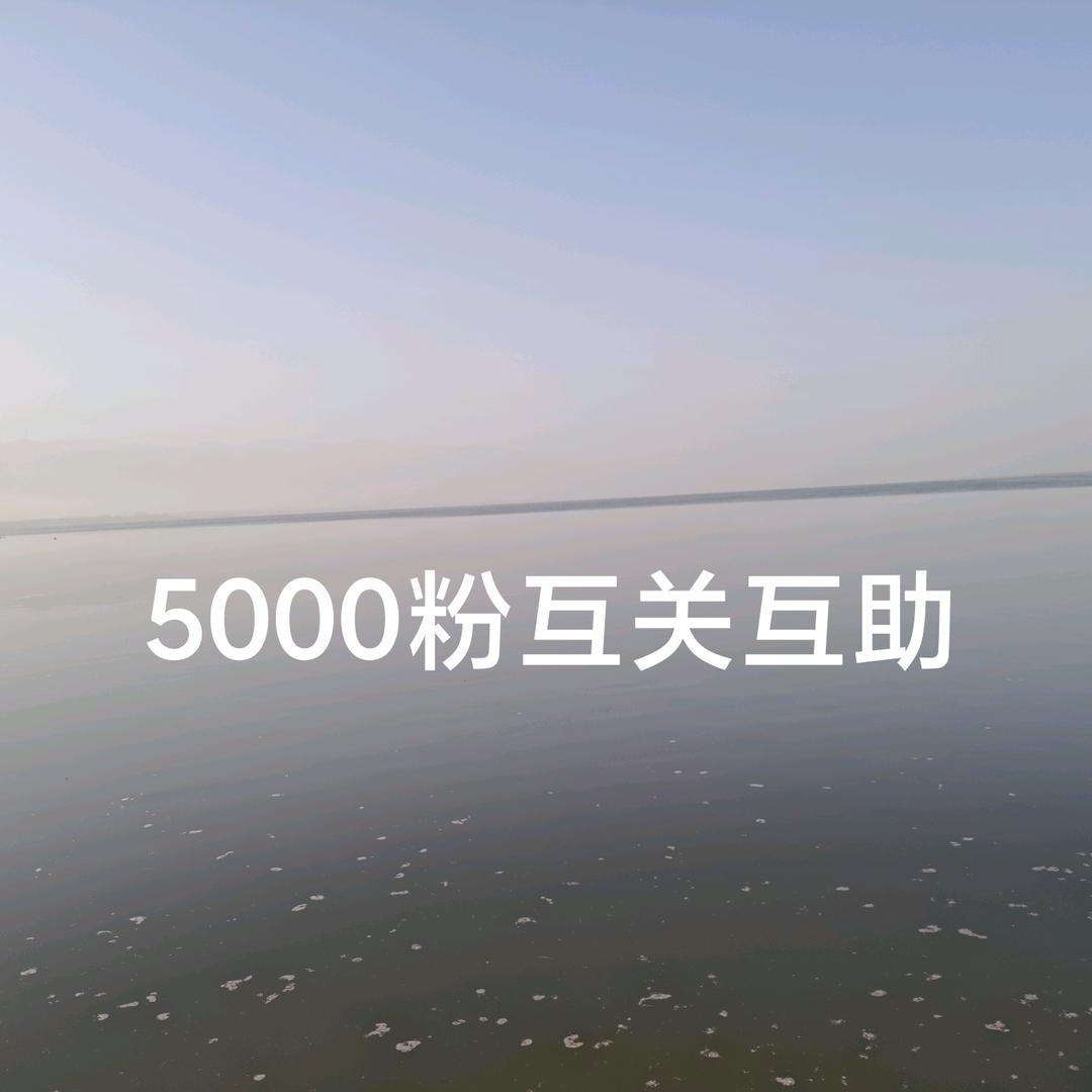 5000粉互关互助