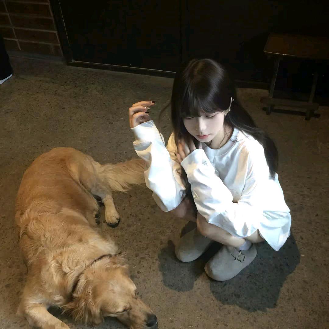 别后十三春ㅤㅤ