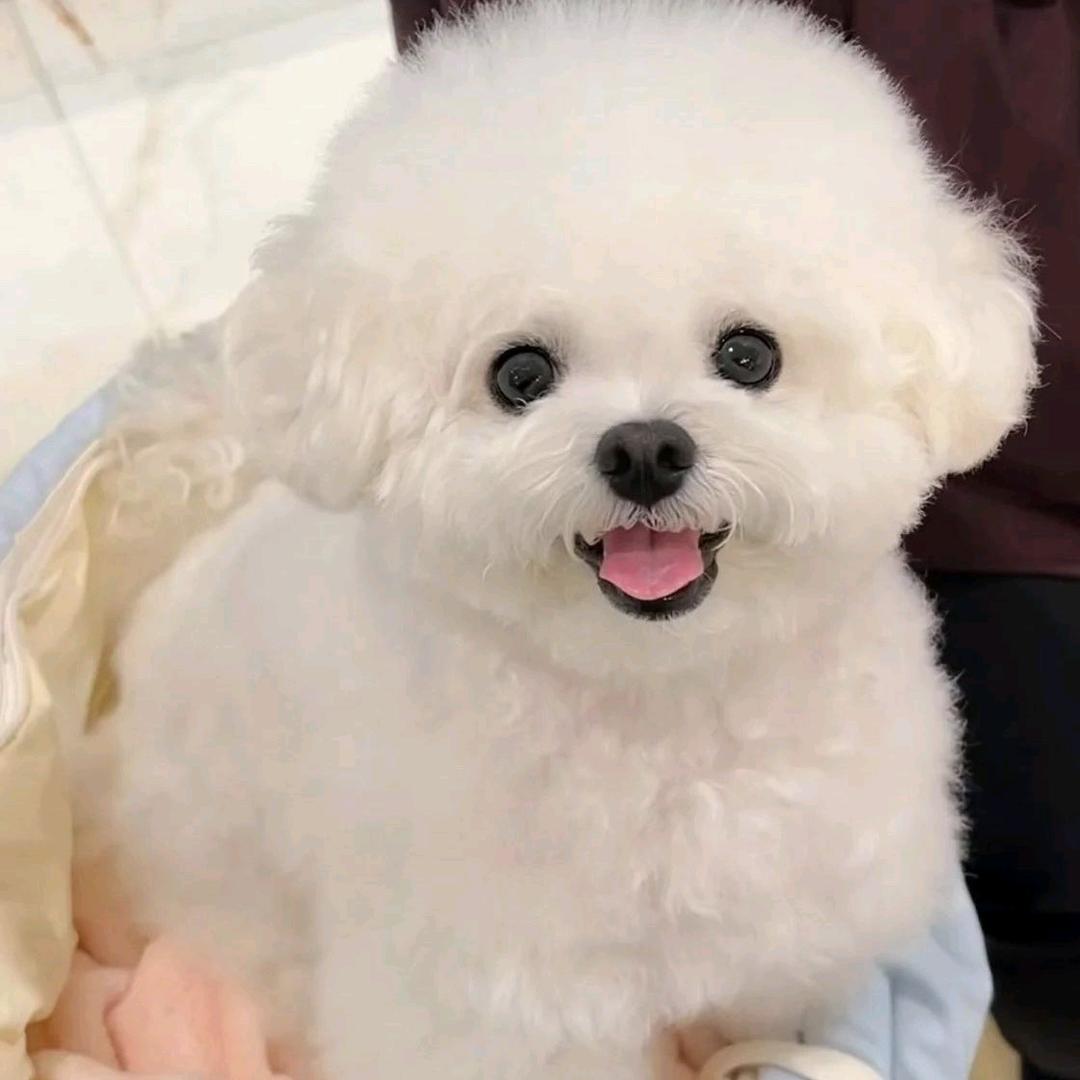 瑾优臻选阁