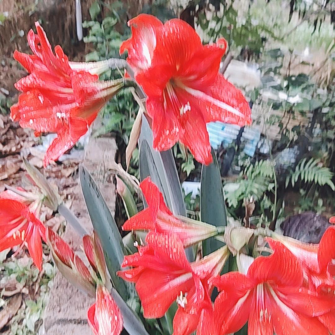 有你就快乐