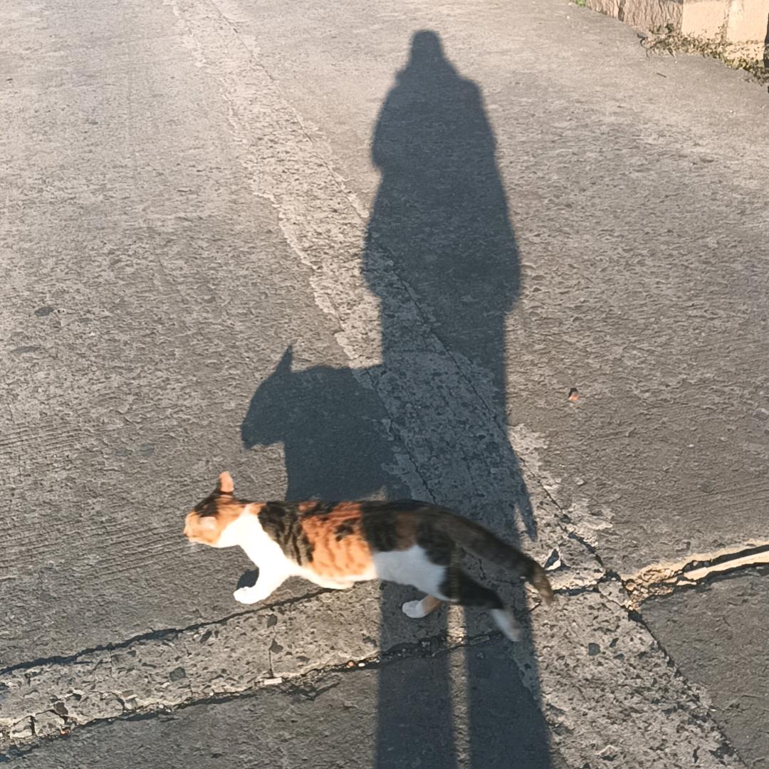 点点˵¯͒〰¯͒˵