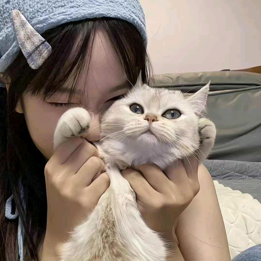 🐟💤