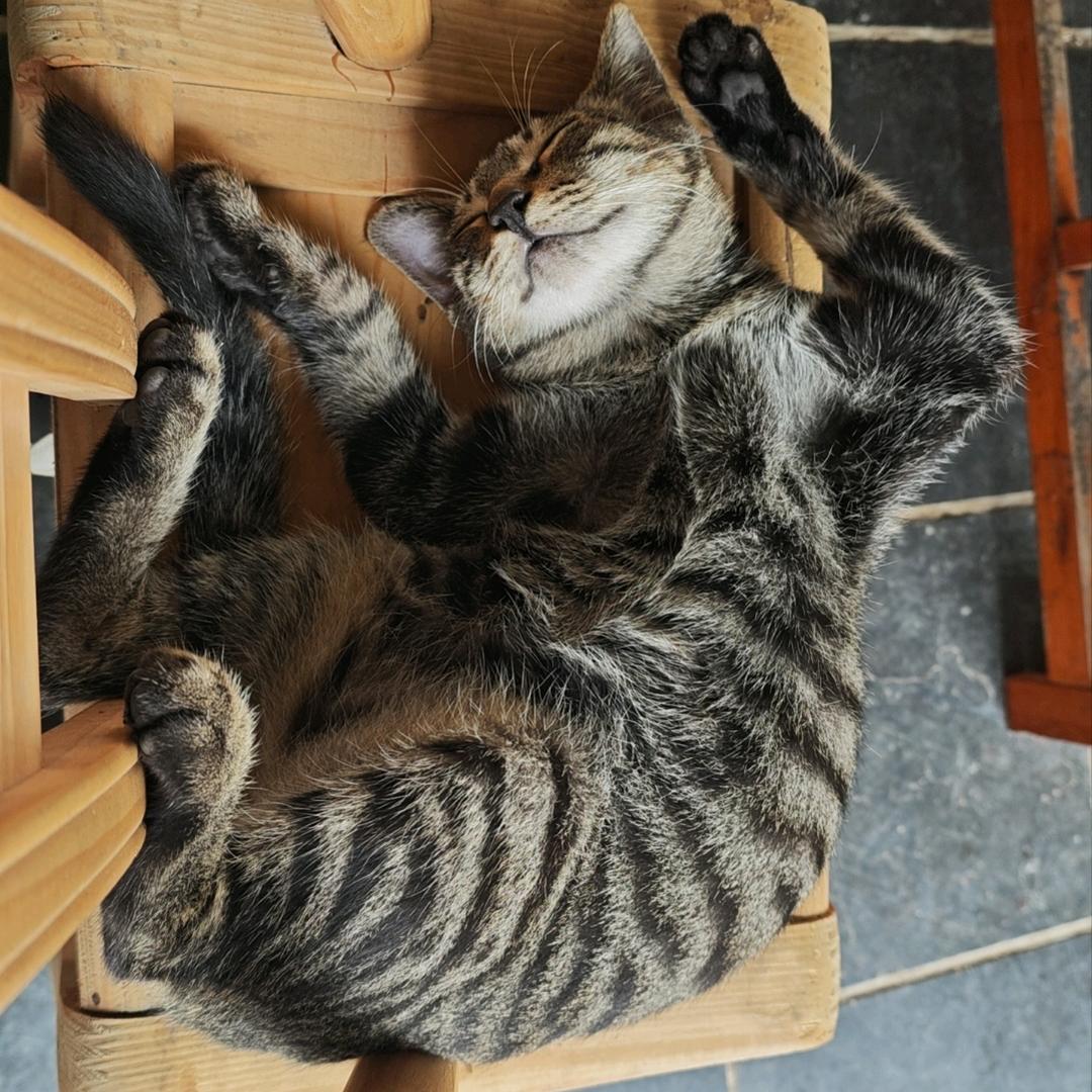 苗儿滩镇电器（小杜）