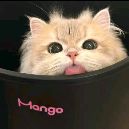 o7zq