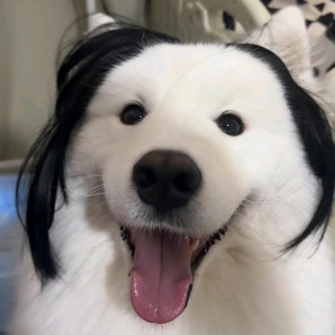 坦克伍六七