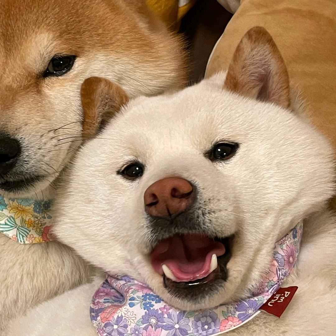xxbshsjsjiwj