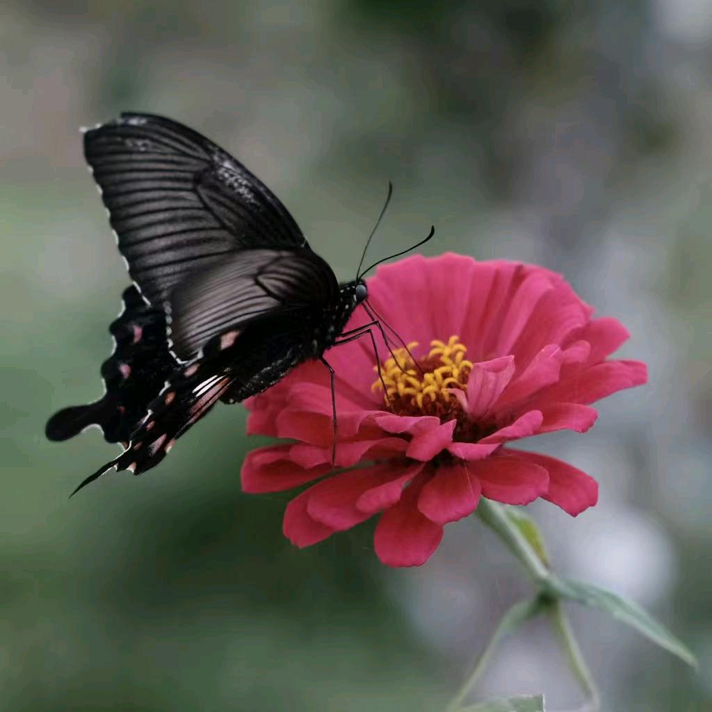 🌈一生有李💞₅₂₀¹³¹⁴