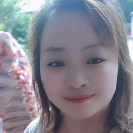 中岗人在阜南牛羊肉批发零售