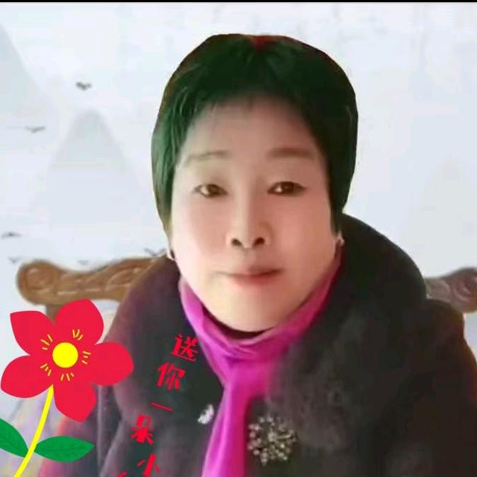 史金