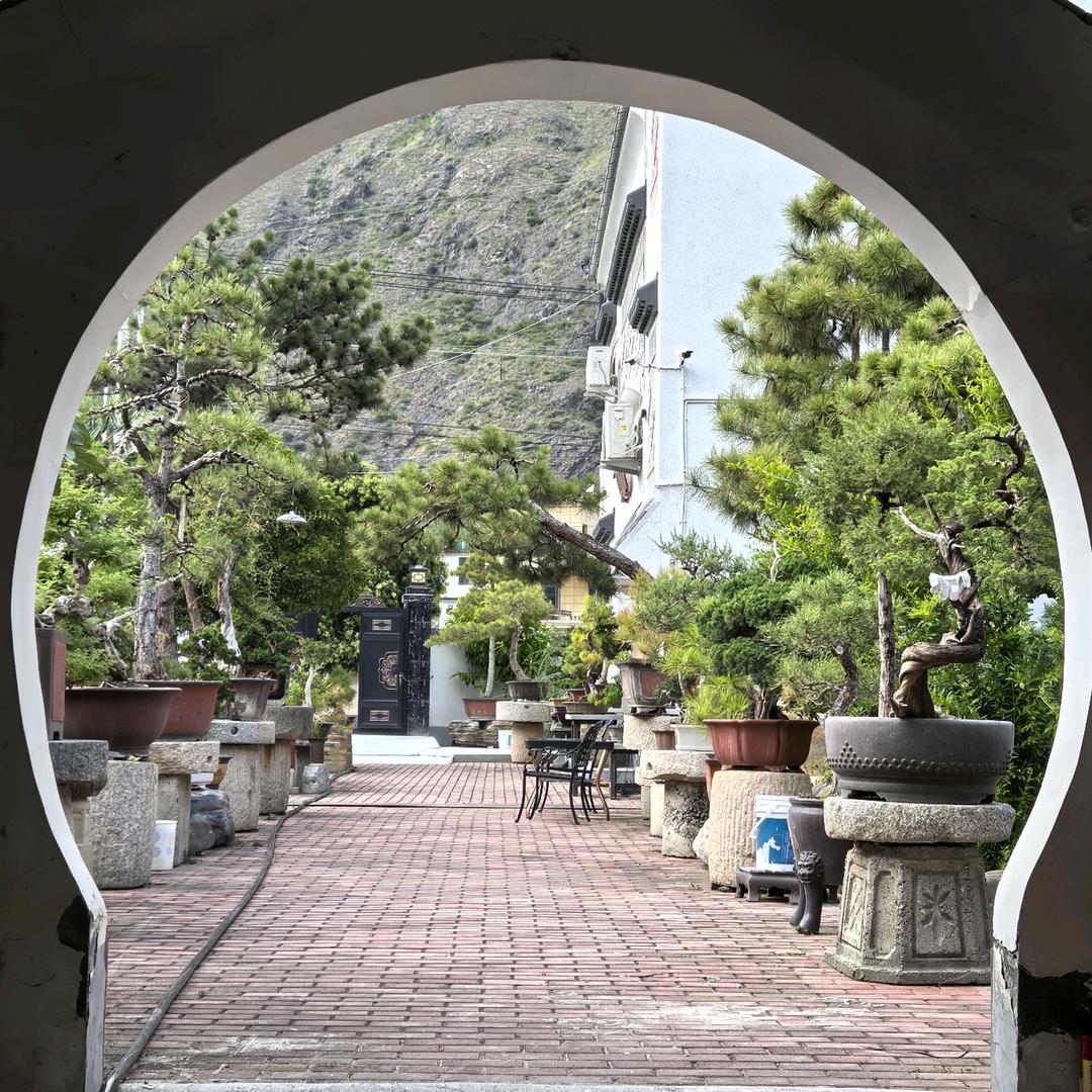 水竹里