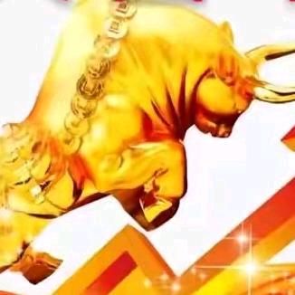罗哥点石成金