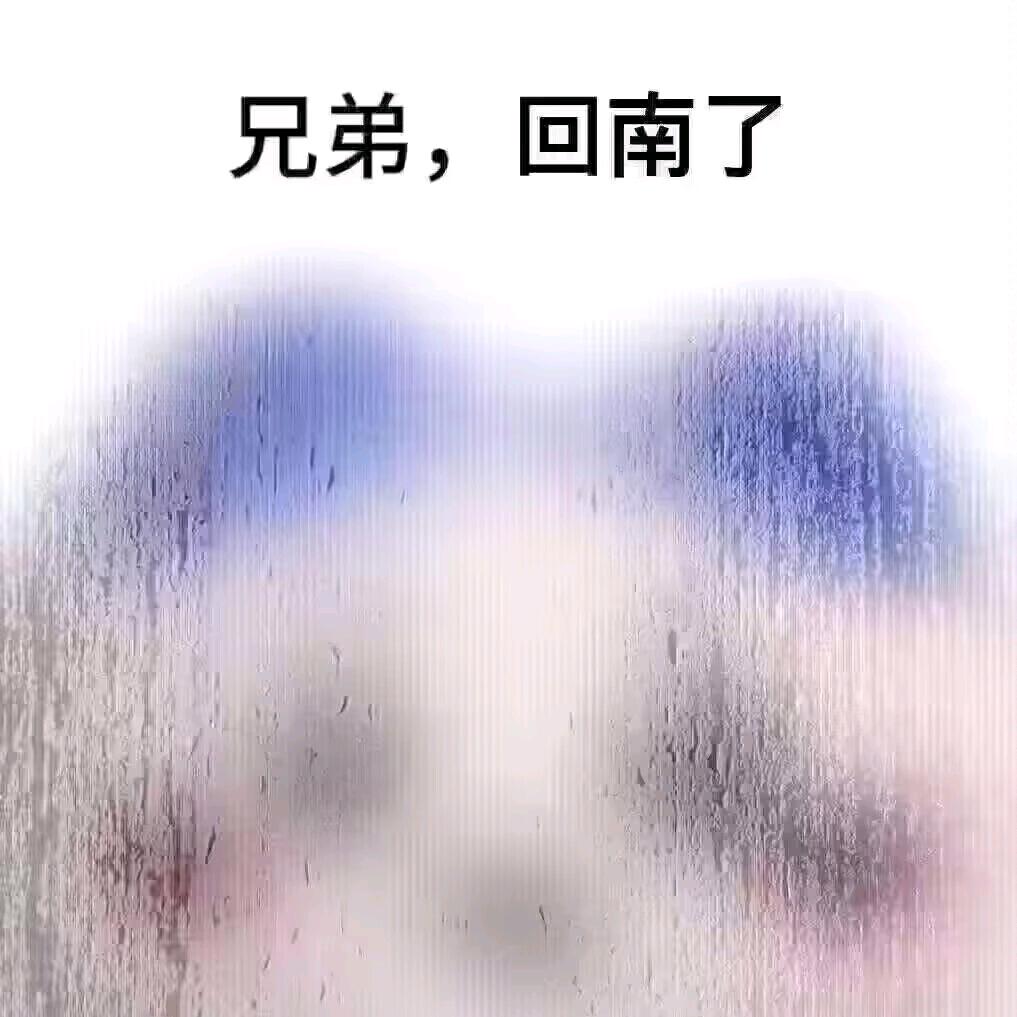 小猫违规停车威胁交警别贴条