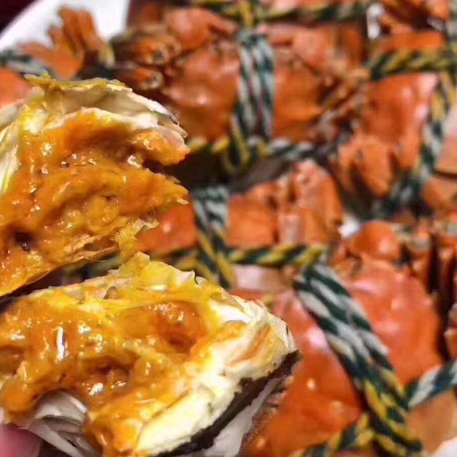 精品红膏大闸蟹批发零售