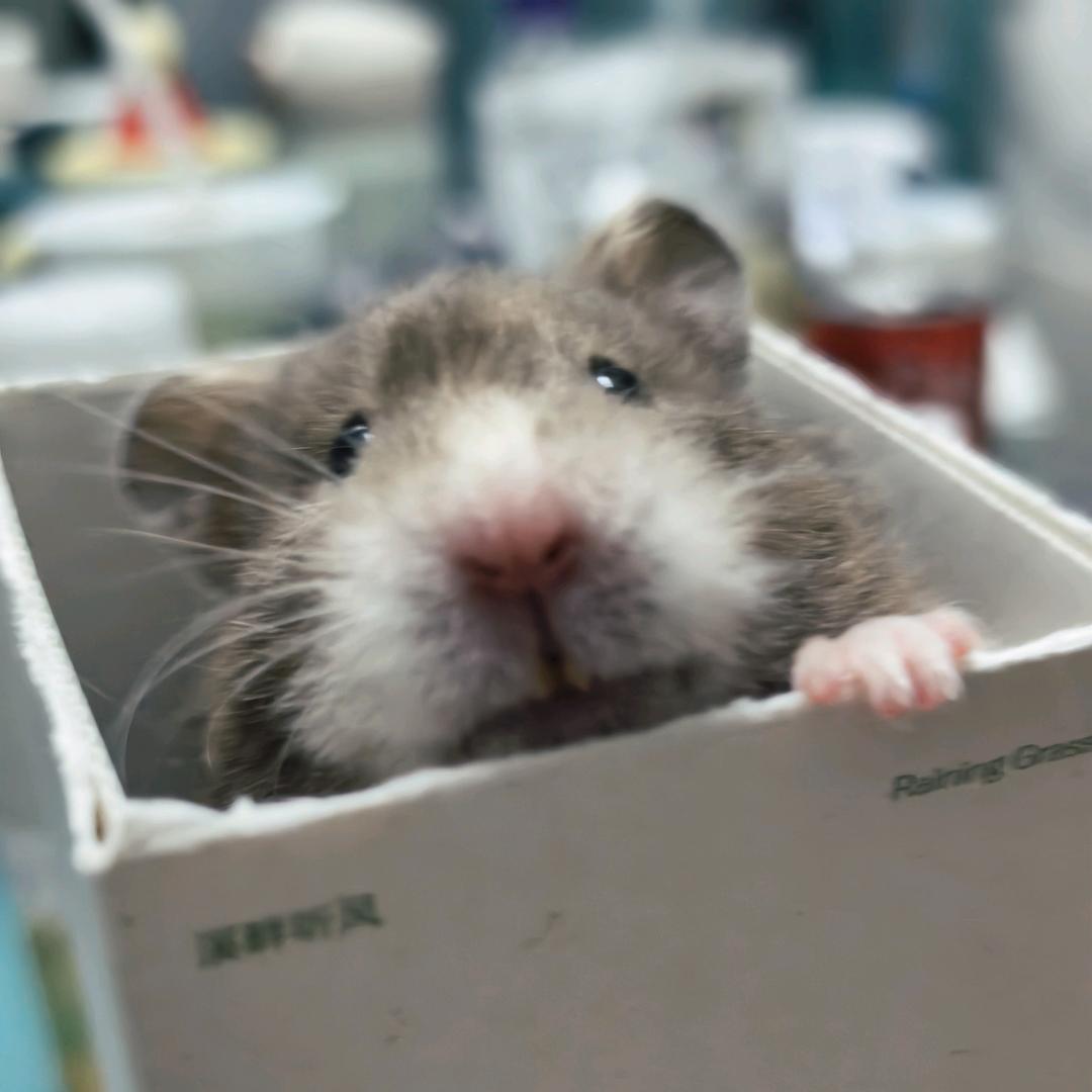 🐋𝐯𝐚̊𝐫𝐥𝐮𝐟𝐭