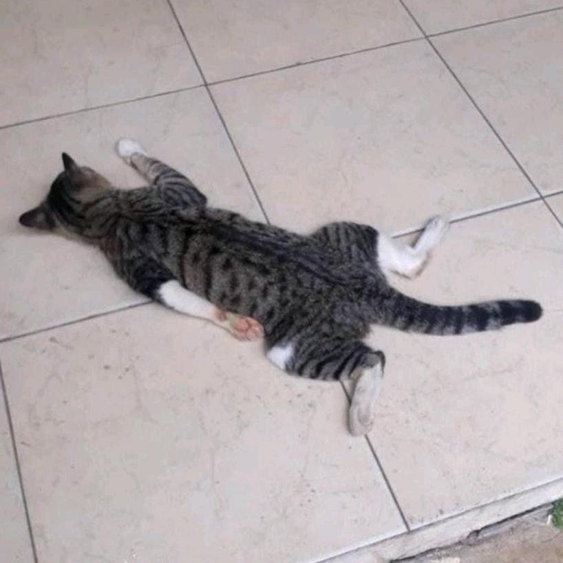 南明