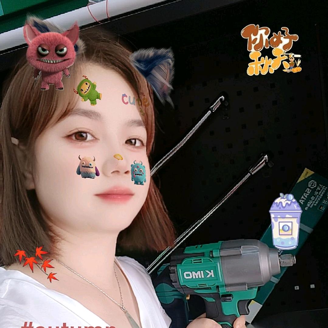 车伴侣汽修设备（王兴波)