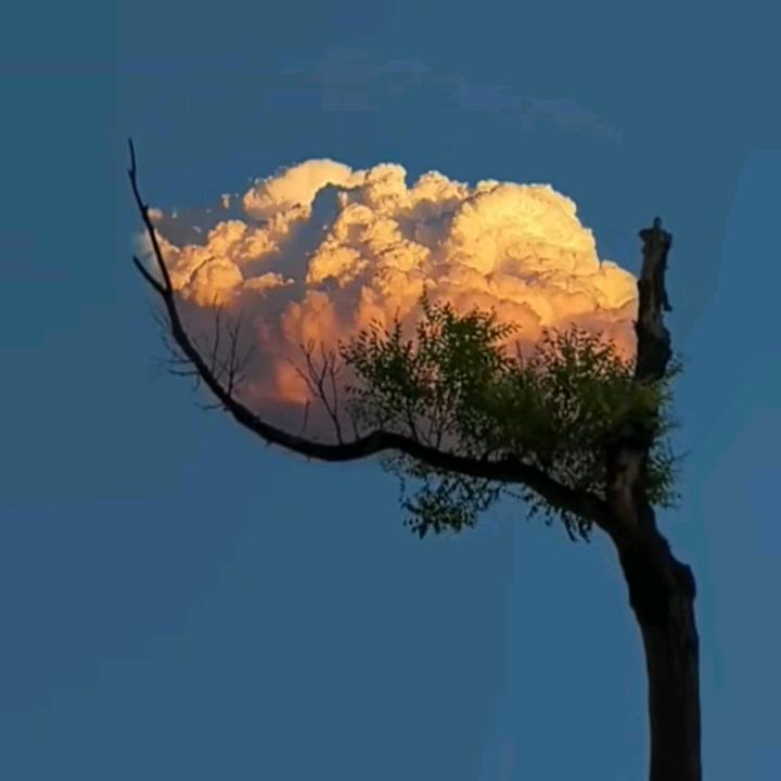 一夕千念