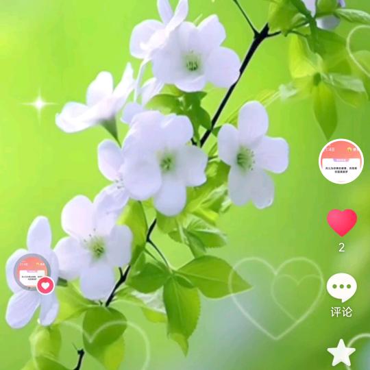 长江后浪推前浪