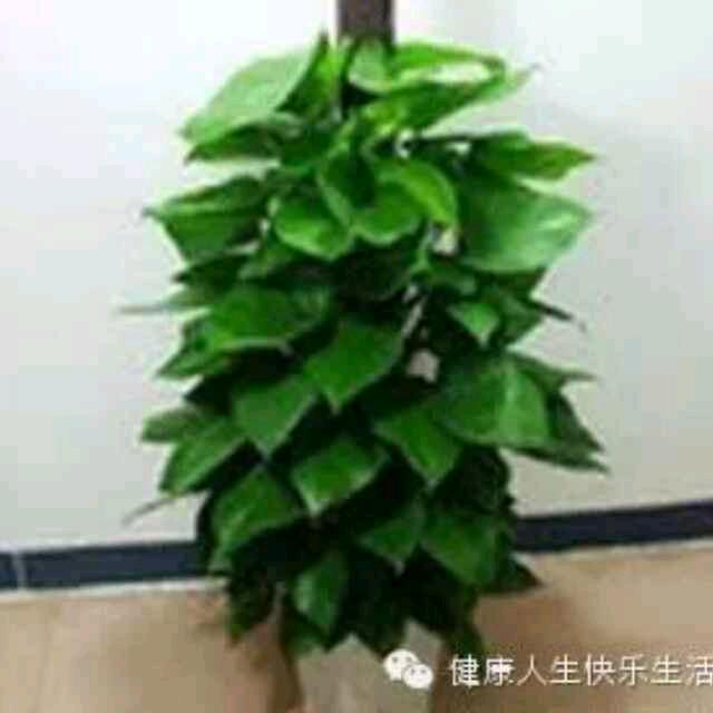 方与圆，（诚招各乡镇代理商）