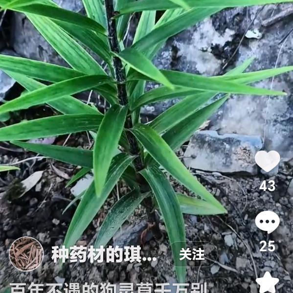 我抱你泡温泉(财神爺到了)