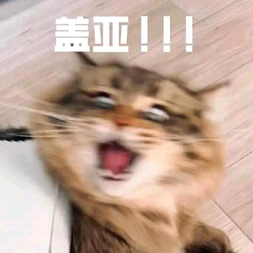 龘靐嘂嚻龘靐龖龘靐齉齾爩龗灪龖厵爨