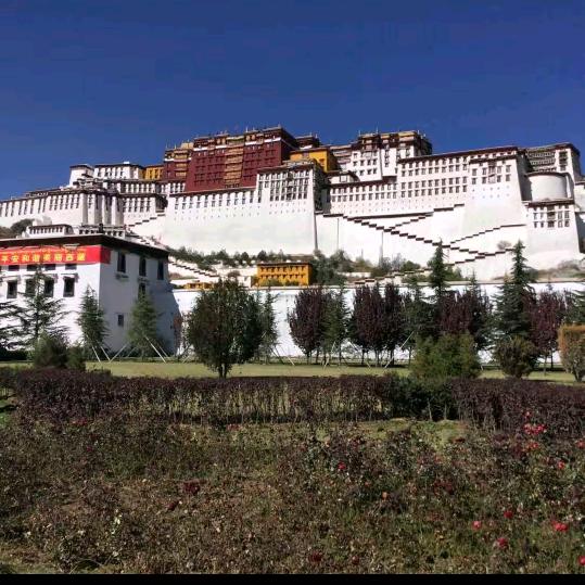 ༼༄ལྷུན་👳གྲུབ1376༽