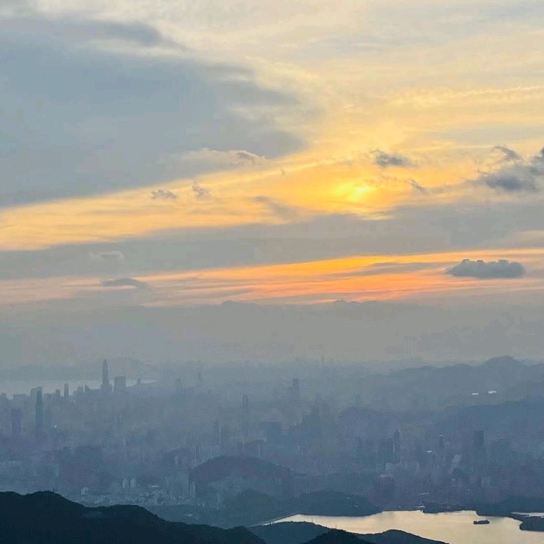 大大鼠🐭
