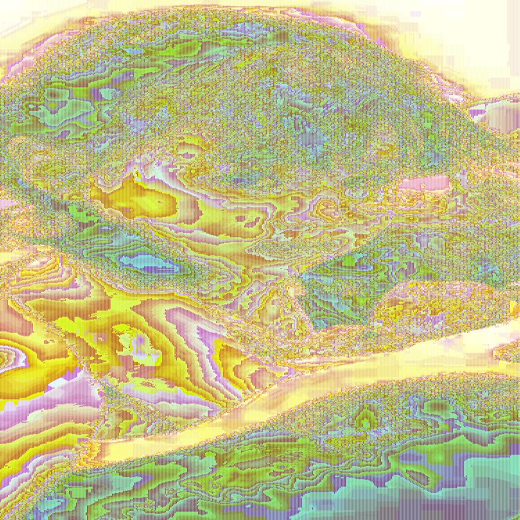 梓雅好物