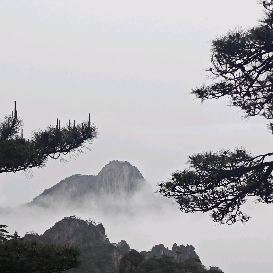 🌈8️⃣8️⃣🅱️8️⃣6️⃣🔥