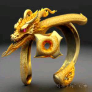 何家二小姐