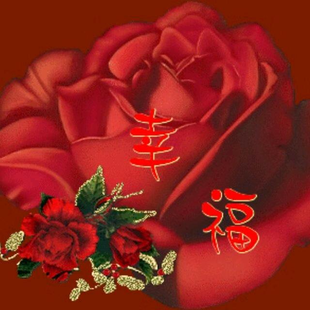 用户5100081952518